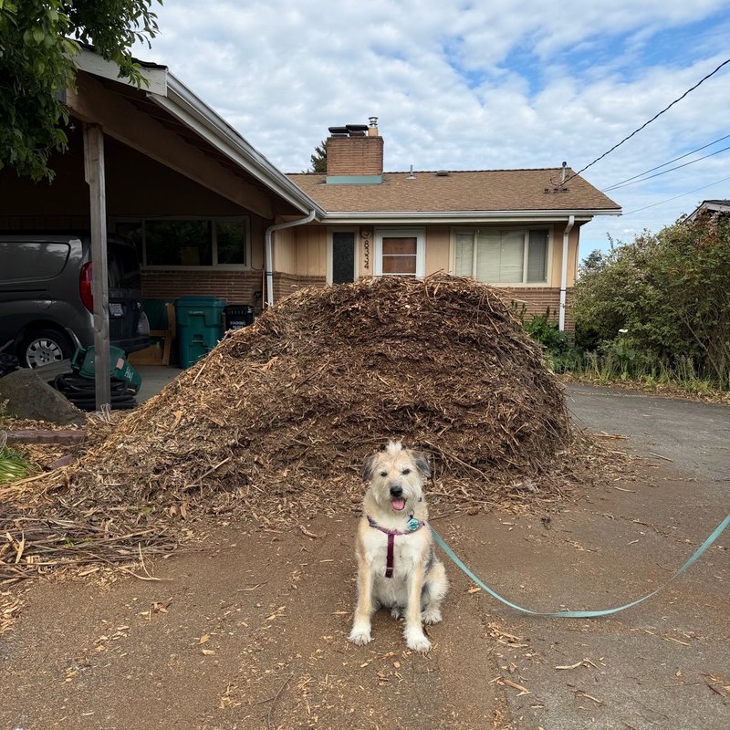 Wood Chips/Arbor Mulch