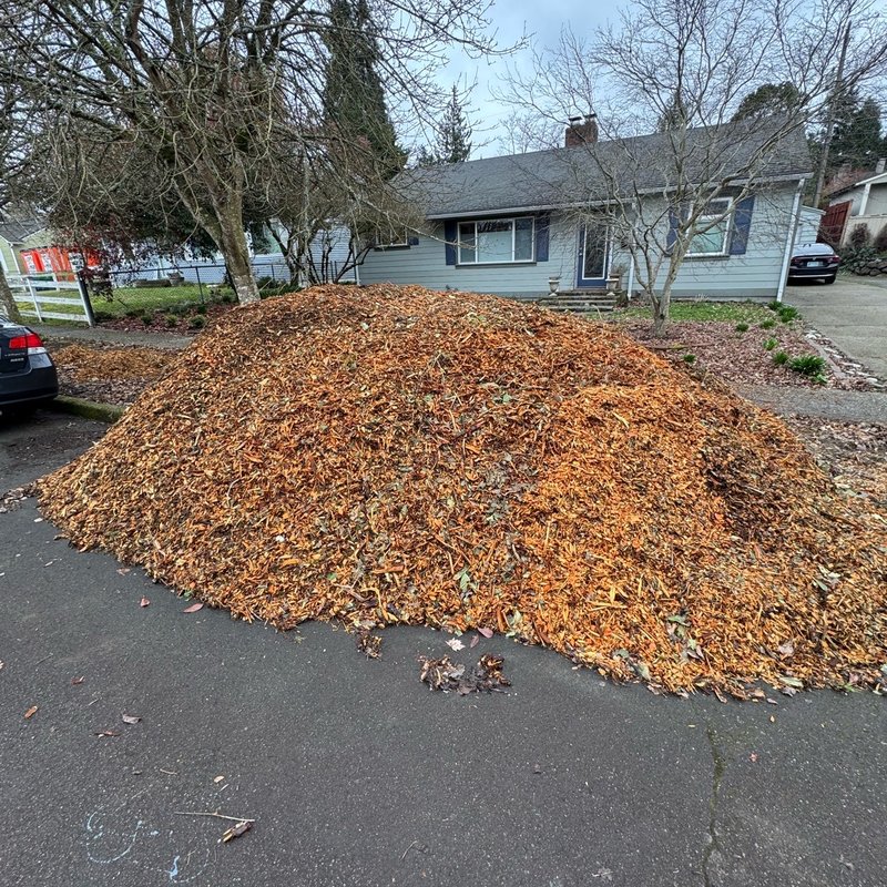 Wood chips (mulch)