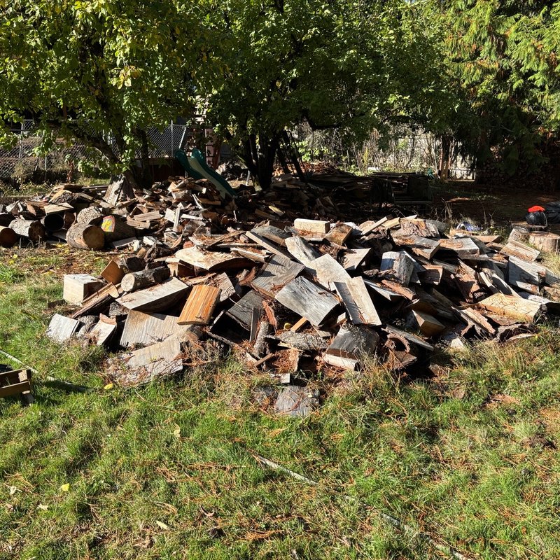 Cut and seasoned firewood